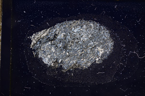 Cross Polarized, E9085