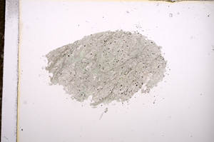 Plane Polarized, E9085