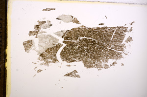 Plane Polarized, E9121