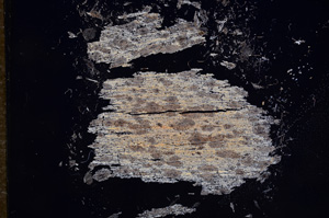 Cross Polarized, E9158