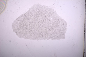 Plane Polarized, E9179/A