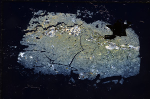 Cross Polarized, E9193