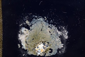Cross Polarized, E9194