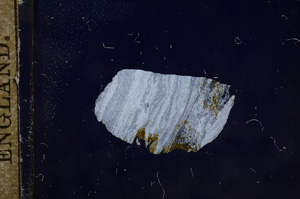 Cross Polarized, E9273