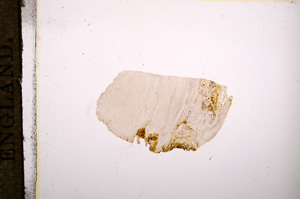 Plane Polarized, E9273