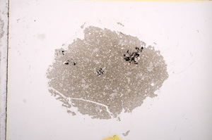 Plane Polarized, E9274