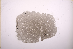 Plane Polarized, E9275