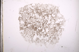 Plane Polarized, E9276
