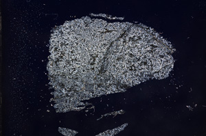 Cross Polarized, E9307