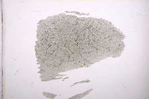 Plane Polarized, E9307