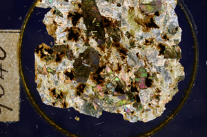 Cross Polarized, E9340
