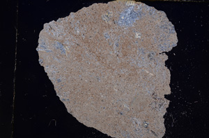 Cross Polarized, E9378