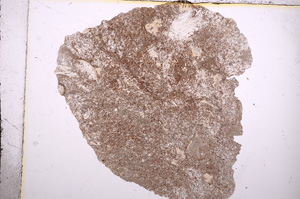 Plane Polarized, E9378