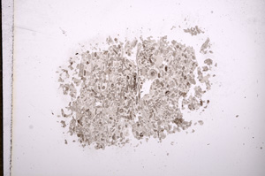 Plane Polarized, E9382