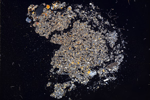 Cross Polarized, E9384