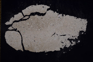 Cross Polarized, E9386