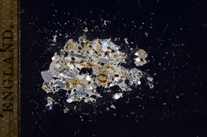 Cross Polarized, E9409