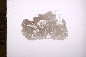 Plane Polarized, E9411