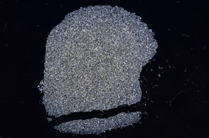 Cross Polarized, E9419