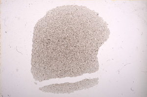 Plane Polarized, E9419