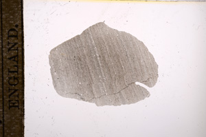 Plane Polarized, E9423