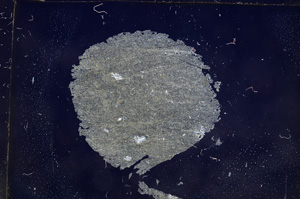 Cross Polarized, E9425