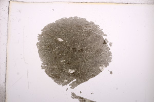 Plane Polarized, E9425