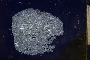 Cross Polarized, E9429