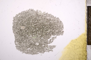 Plane Polarized, E9429