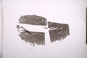 Plane Polarized, E9433