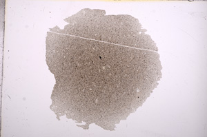 Plane Polarized, E9568