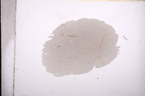 Plane Polarized, E9573