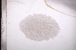 Plane Polarized, E9589