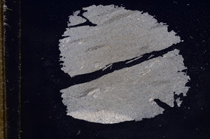 Cross Polarized, E9590