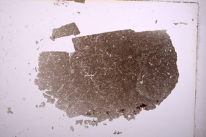 Plane Polarized, E9591