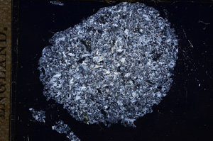 Cross Polarized, E9605