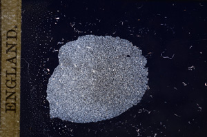 Cross Polarized, E9611