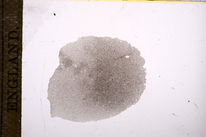 Plane Polarized, E9611