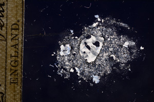 Cross Polarized, E9612