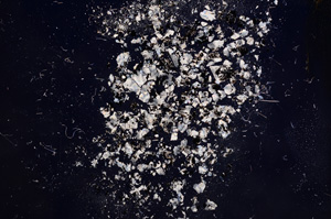 Cross Polarized, E9613