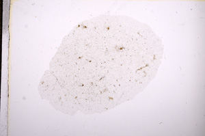 Plane Polarized, E9615