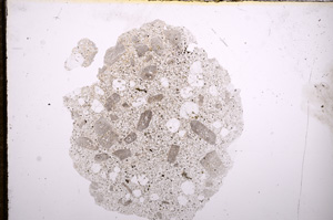 Plane Polarized, E9621