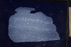 Cross Polarized, E9622