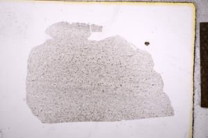 Plane Polarized, E9622