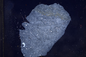 Cross Polarized, E9623