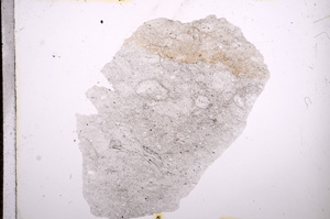 Plane Polarized, E9623