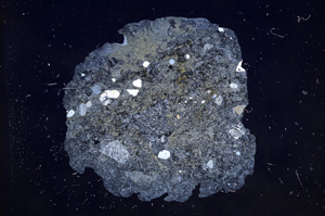 Cross Polarized, E9624