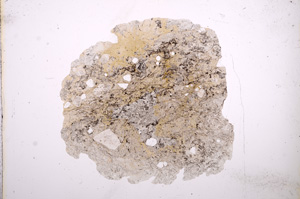 Plane Polarized, E9624