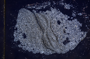 Cross Polarized, E9627