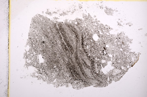 Plane Polarized, E9627